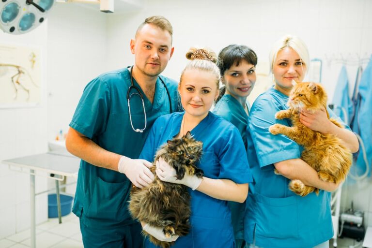 clínica-veterinária-como-montar
